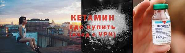 сатива Богданович