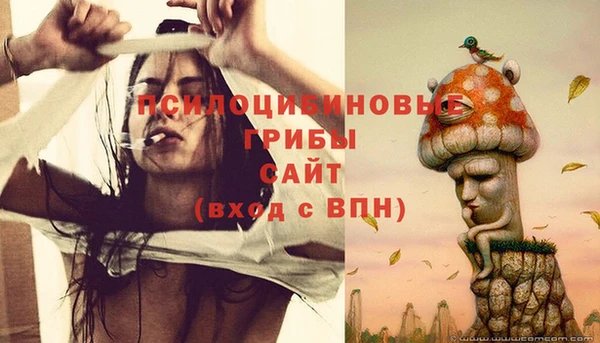 сатива Богданович