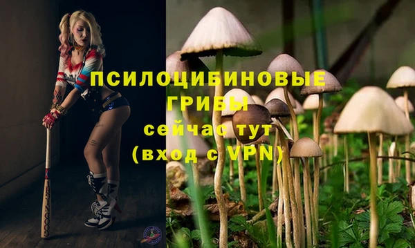 кокаин премиум Богородск