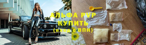 сатива Богданович
