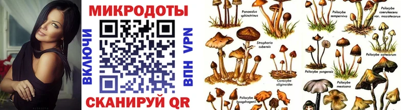 Псилоцибиновые грибы мухоморы  купить наркотик  Нижний Новгород 